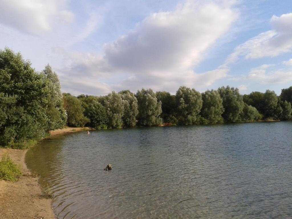 B&B Am See Koeln - Privatzimmer Pokój zdjęcie