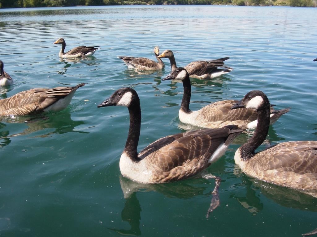 B&B Am See Koeln - Privatzimmer Pokój zdjęcie